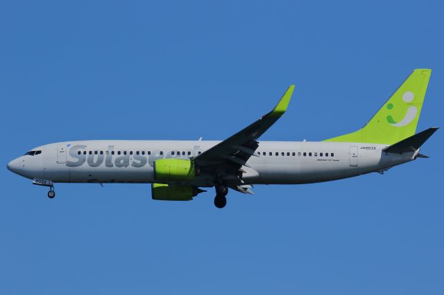 Boeing 737-800 (JA803X)