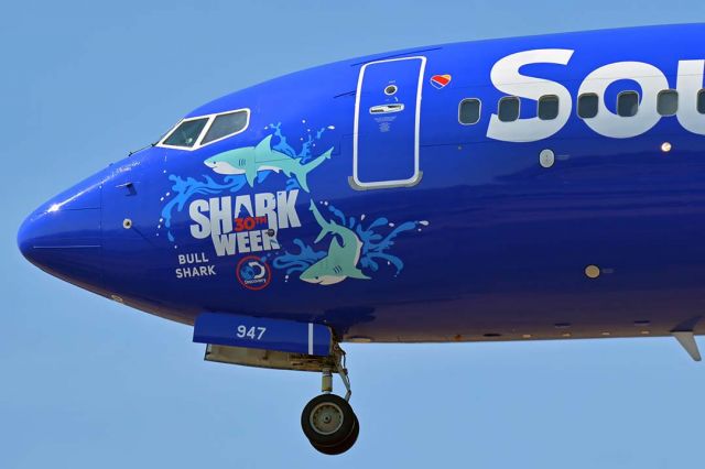 Boeing 737-700 (N947WN) - Southwest Boeing 737-7H4 N553WN Shark Week Bull Shark at Phoenix Sky Harbor on July 30, 2018.