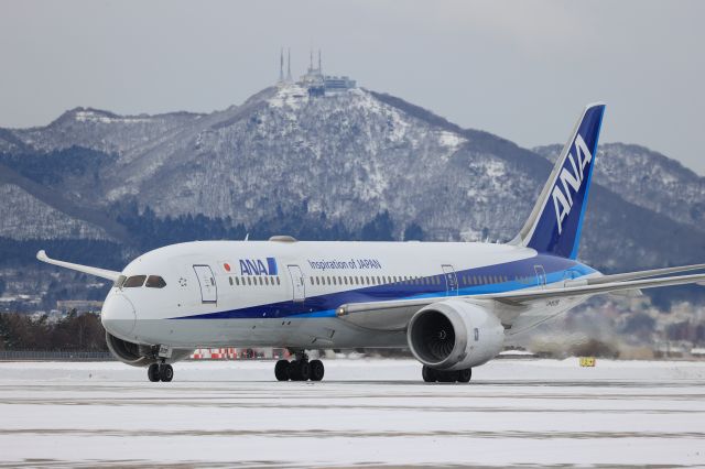 Boeing 787-8 (JA809A) - December 30th 2020:HKD-HND.