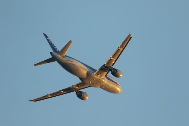 Airbus A320 (JA8396) - 09 December 2015:HKD-HND.