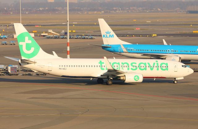 Boeing 737-800 (PH-HZJ) - PH-HZJ Transavia Boeing 737-800 just landed at Amsterdam Schiphol from Bari on flight HV5820 at 15:57 on Sunday 18/02/18