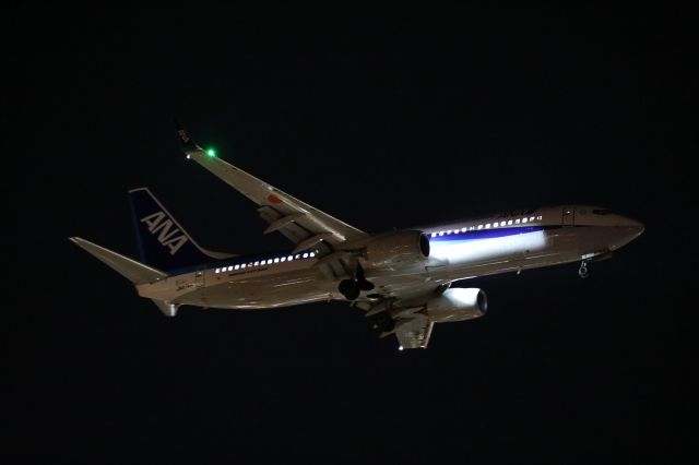 Boeing 737-800 (JA87AN) - January 7th 2020:HND-HKD.