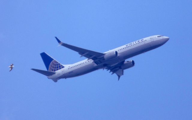 Boeing 737-900 (N39416) - Shown here is a United Airlines Boeing 737-900 a few minutes until it lands in the Summer of 2018.  