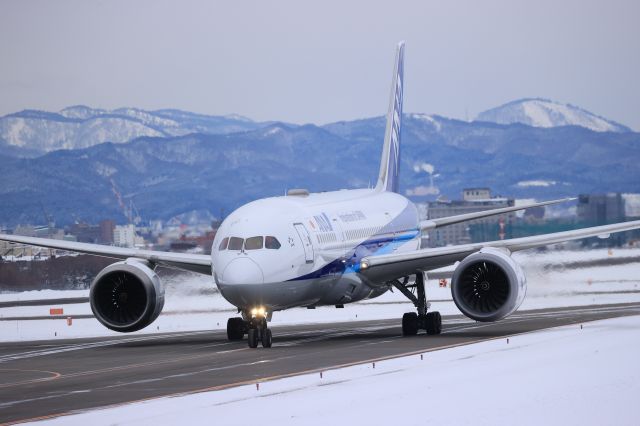 Boeing 787-8 (JA817A) - December 30th 2020:HKD-HND.