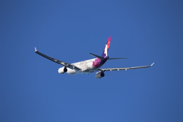 Airbus A330-200 (N391HA)