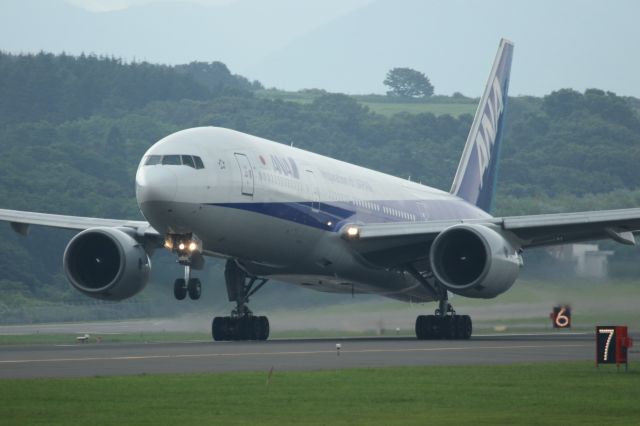 Boeing 777-200 (JA704A) - 26 July 2015:HKD-HND.