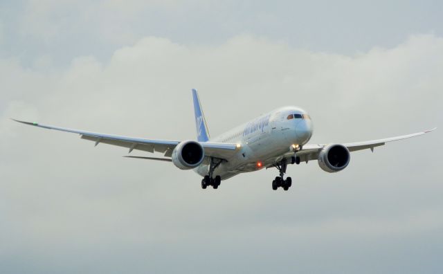 Boeing 787-9 Dreamliner (EC-MTI) - The "Fluid-"Wing-Flex!" Of The B787-9 Dreamliner!