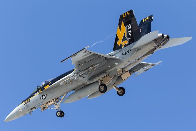 — — - Strike Fighter 115 (VFA-115) Eagles, currently assigned to Carrier Air Wing 5(CVN-5) and is equipped with F/A-18E Super Hornets. CAG bird BuNo 166859/ NF 300, on short finals to RAAF Townsville. The Squadron spent 3 weeks performing training sorties, including a number with the Australian Army.