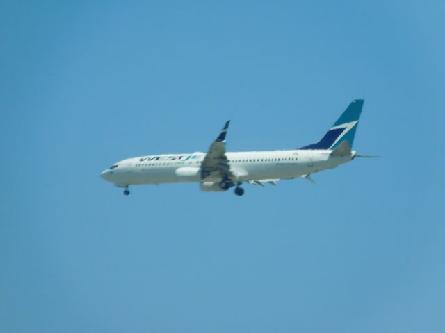 Boeing 737-800 —