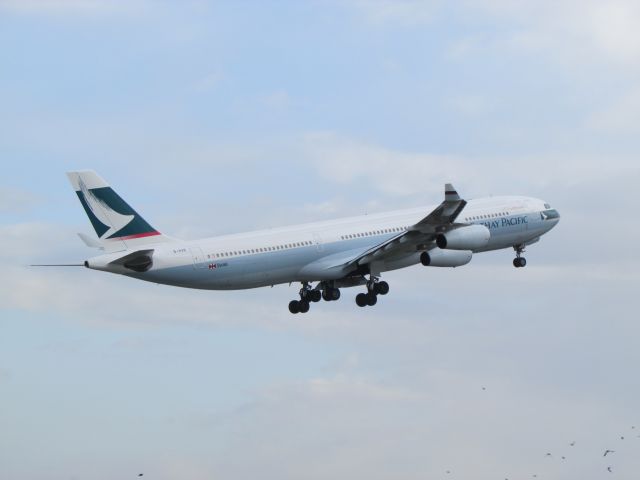 — — - Cathay Pacific, Airbus A340br /at FCO