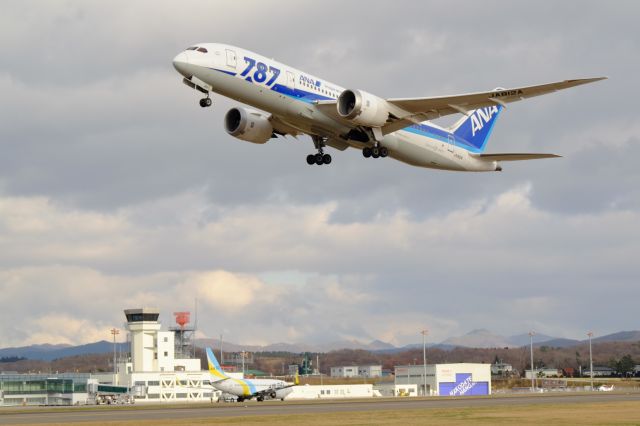 Boeing 787-8 (JA812A) - hakodate air port (HKD/RJCH) hokkaido japan