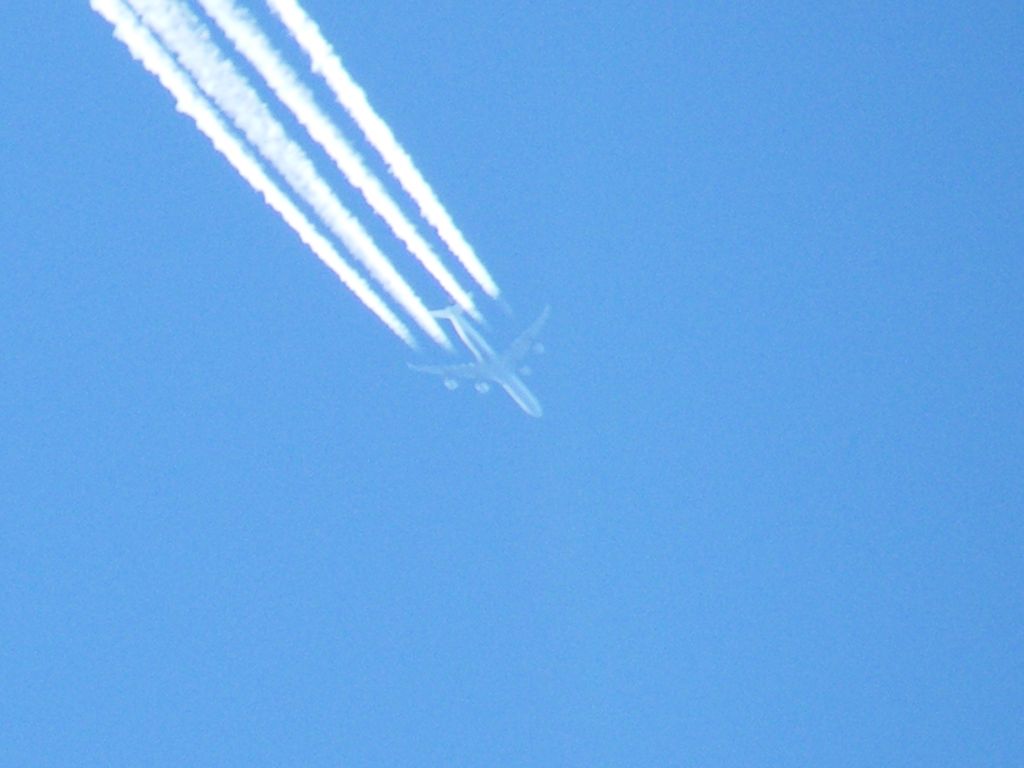 Airbus A330-300 (D-AIHU)