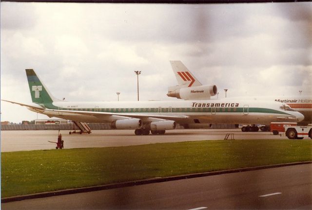 McDonnell Douglas DC-8-60 — - Transamerica DC8-60 archief