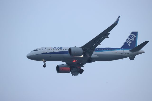 Airbus A320neo (JA215A) - June 13, 2024:HND-HKD.