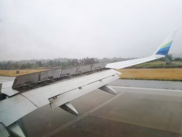 — — - Boeing 737-800 dirty wing on landing at SEA-TAC