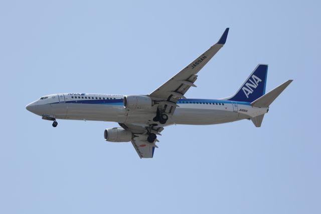 Boeing 737-800 (JA69AN) - 13 August 2016:ITM-HKD.