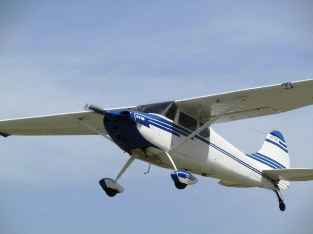 Cessna 170 (N170BG) - Taking off RWY 24