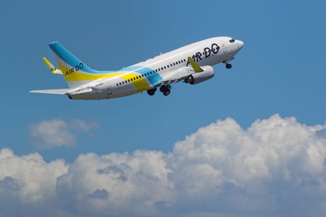 Boeing 737-800 (JA11AN)