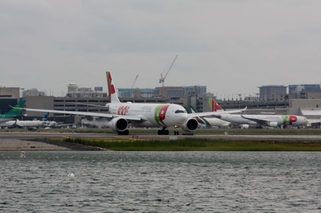 Airbus A330-900 (CS-TUI)