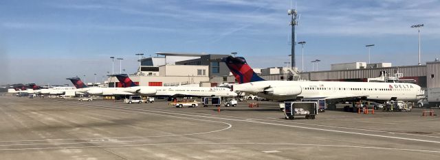 McDonnell Douglas MD-88 (N955DL) - Mad Dogs as far as the eye can see!