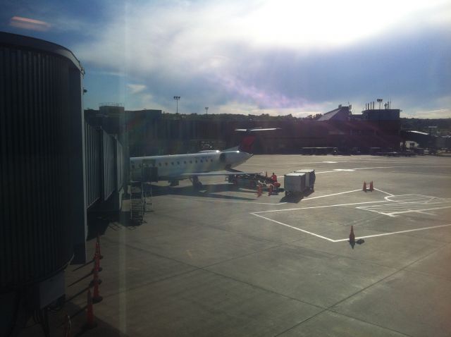 Embraer ERJ-145 (N573RP) - At Albany International Airport at gate B5 after coming from Detroit and being delayed.