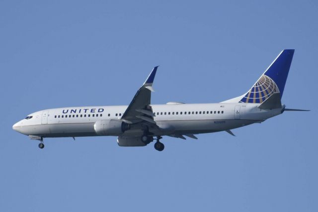 Boeing 737-800 (N33209)