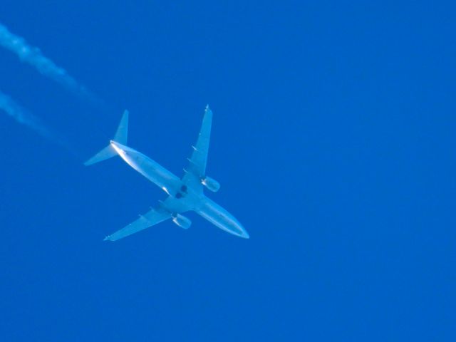 Boeing 737-800 (N33266) - UAL766br /SJD-ORDbr /01/16/2025
