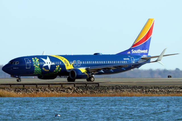 Boeing 737-800 (N8646B)