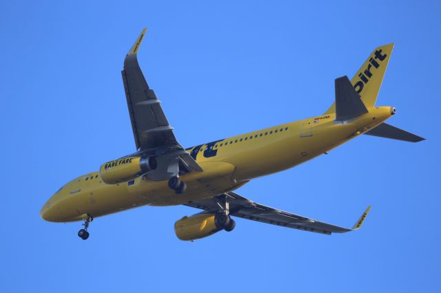 Airbus A320 (N643NK)