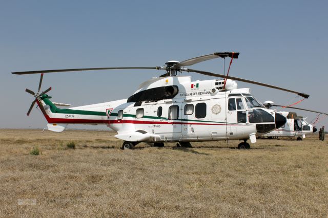 XC-UHU — - Fuerza Áérea Mexicana / Aérospatiale AS 332L Super Puma - MSN 2346 / XC-UHU / MMSM 04/2019 