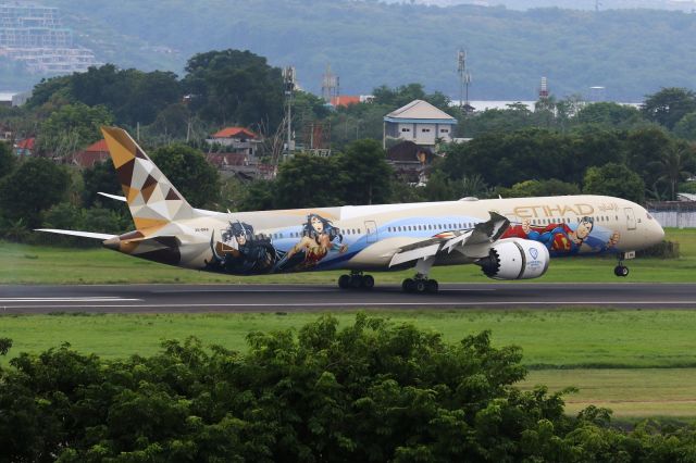 BOEING 787-10 Dreamliner (A6-BMA) - "Warner bros World" livery