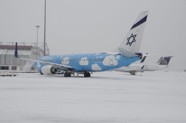 Boeing 737-800 (4X-EKM)