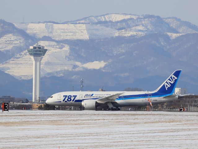 Boeing 787-8 (JA818A) - hakodate airport hokkido japan 