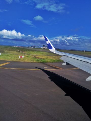Airbus A320 (VT-WGJ) - Picturesque landing with GoAir at Kannur International Airport.