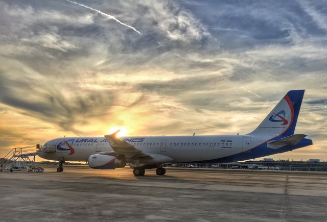 Airbus A321 (VQ-BCE) - Ural 321 at TPA.