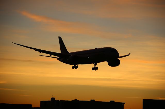 Boeing 787-8 (JA824J)