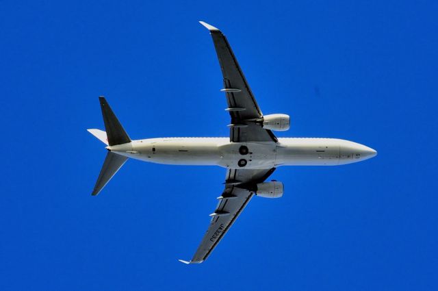 Boeing 737-800 (JA323J)