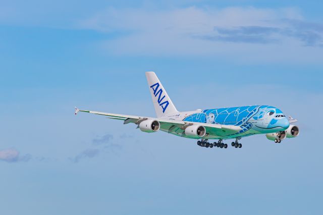 Airbus A380-800 (JA381A)