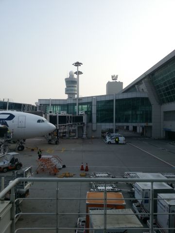 Airbus A330-300 (OH-LTS)