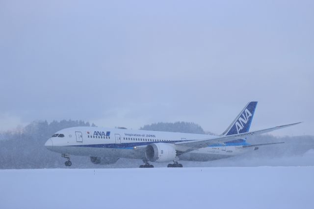 Boeing 787-8 (JA803A) - January 4, 2023:HKD-HND.