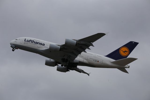 Airbus A380-800 (D-AIMF)