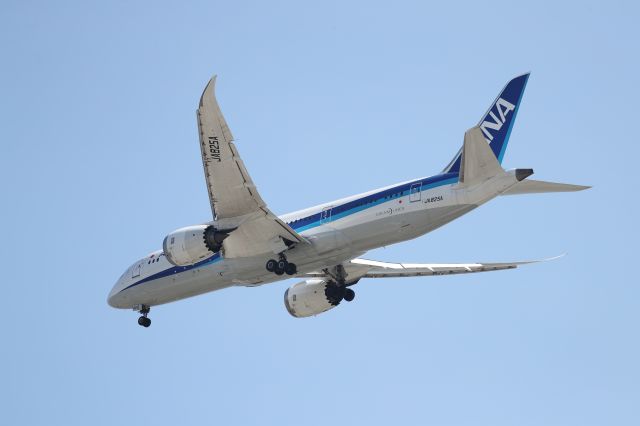 Boeing 787-8 (JA825A) - July 10th 2017:HND-HKD.