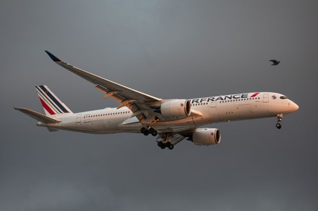 Airbus A350-900 (F-HTYT)