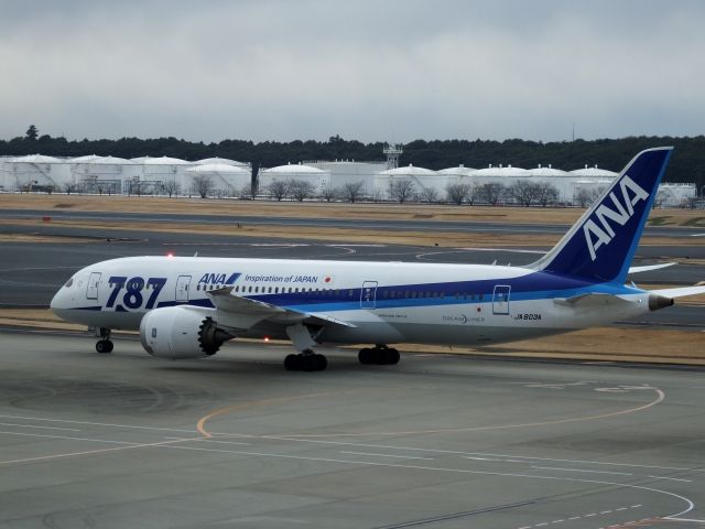 Boeing 787-8 (JA803A)