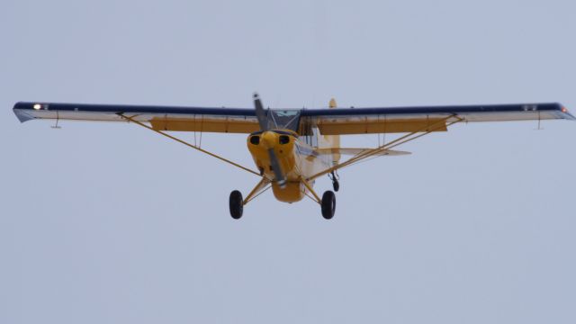 CHRISTEN Husky (N101LM) - An Aviat Husky A-1B, N101LM, landing at the Iqaluit airport. May 20, 2018