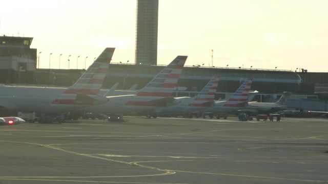 BOEING 767-300 (N397AN) - American-ception