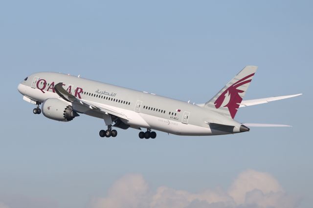 Boeing 787-8 (A7-BCJ) - QTR22 back to Doha