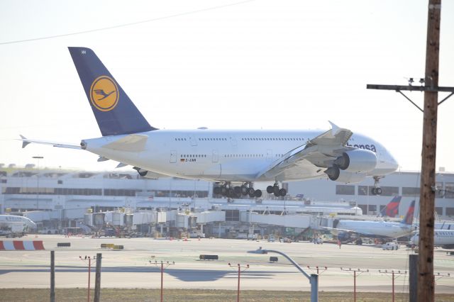 Airbus A380-800 (D-AIMN)