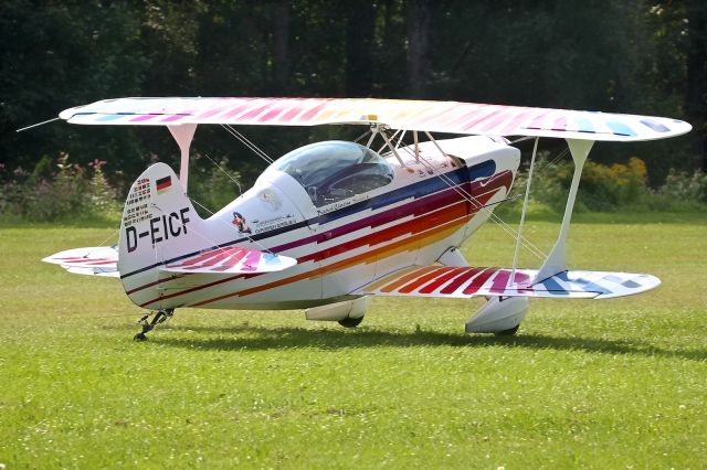 D-EICF —