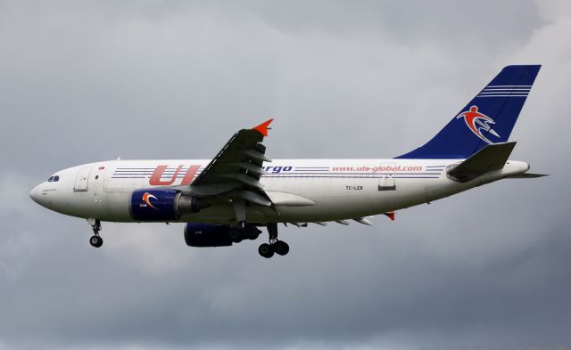 Airbus A310 (TC-LER)